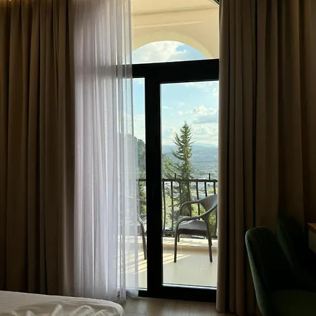 Panorama & فندق 4*